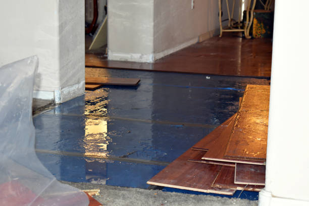 Professional Basement Flood Cleanup technician working in Underwood, IA